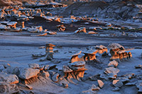 Bisti Badlands