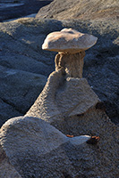 Bisti Badlands