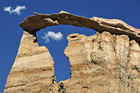 Bisti Badlands