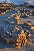 Bisti Badlands