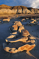 Bisti Badlands