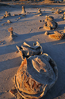 Bisti Badlands