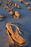 Bisti Badlands