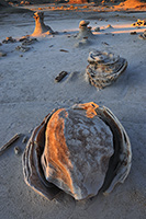 Bisti Badlands