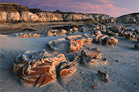 Bisti Badlands