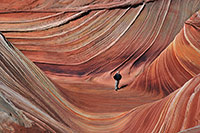 Coyote Buttes