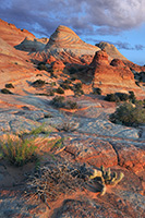 Coyote Buttes North, the Wave