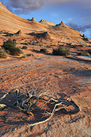 Coyote Buttes North, the Wave