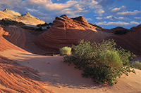 Coyote Buttes North, the Wave