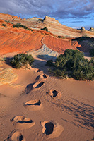 Coyote Buttes North, the Wave