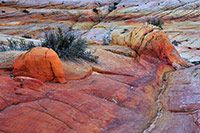 Coyote Buttes North, the Wave