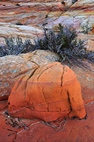 Coyote Buttes North, the Wave