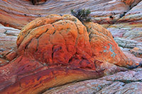 Coyote Buttes North, the Wave