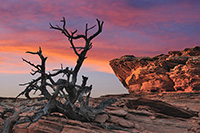 Coyote Buttes, South