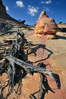 Coyote Buttes, South