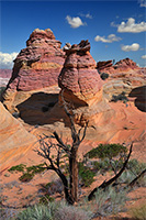 Coyote Buttes, South