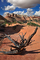 Coyote Buttes, South