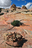 Coyote Buttes, South