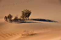 Death Valley, California