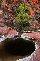 Red Cliffs, Utah