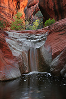 Red Cliffs, Utah