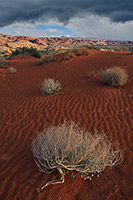 Valley of Fire, Nevada