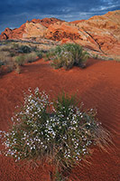 Valley of Fire, Nevada