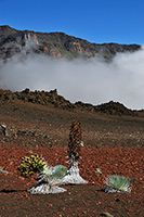 Haleakala Crater