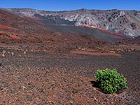 Haleakala Crater