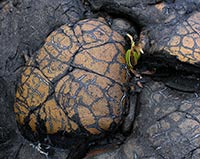 Wulkan Piton de Fournaise, Reunion