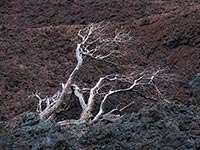 Wulkan Piton de Fournaise, Reunion