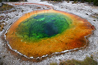 Yellowstone