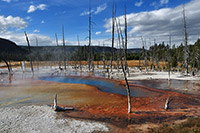 Yellowstone