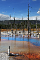 Yellowstone