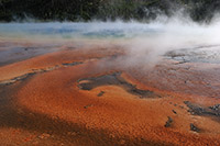 Yellowstone