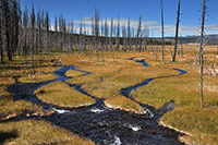 Yellowstone