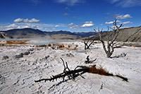 Yellowstone